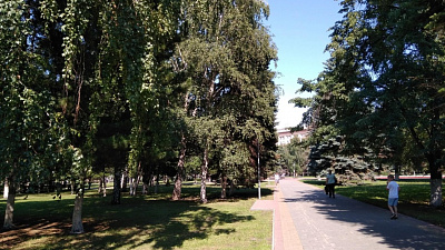 Челябинские чиновники не знают, сколько в городе деревьев, кустарников и газонов