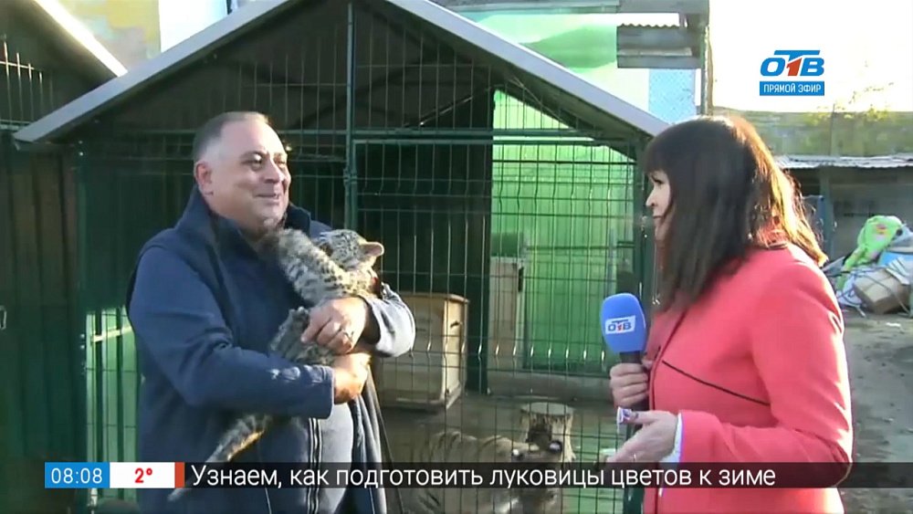 Включение в приюте Карена Даллакяна