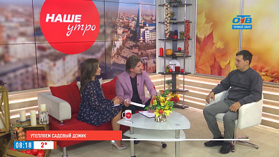 Как утеплить частный или садовый дом