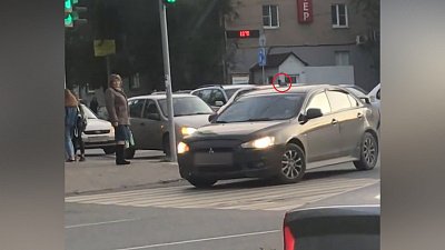 Хит соцсетей: голубь «зайцем» катается на крыше автомобиля