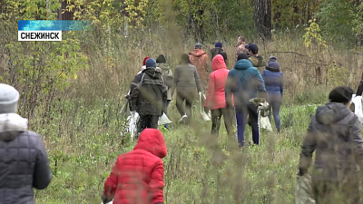 Городские организации Снежинска вышли на субботник