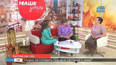 Подготовка сада к зиме