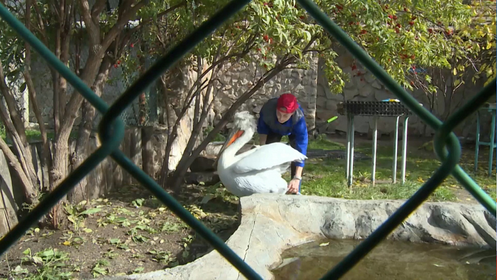 В зоопарке отметили день защиты животных