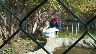 В зоопарке отметили день защиты животных