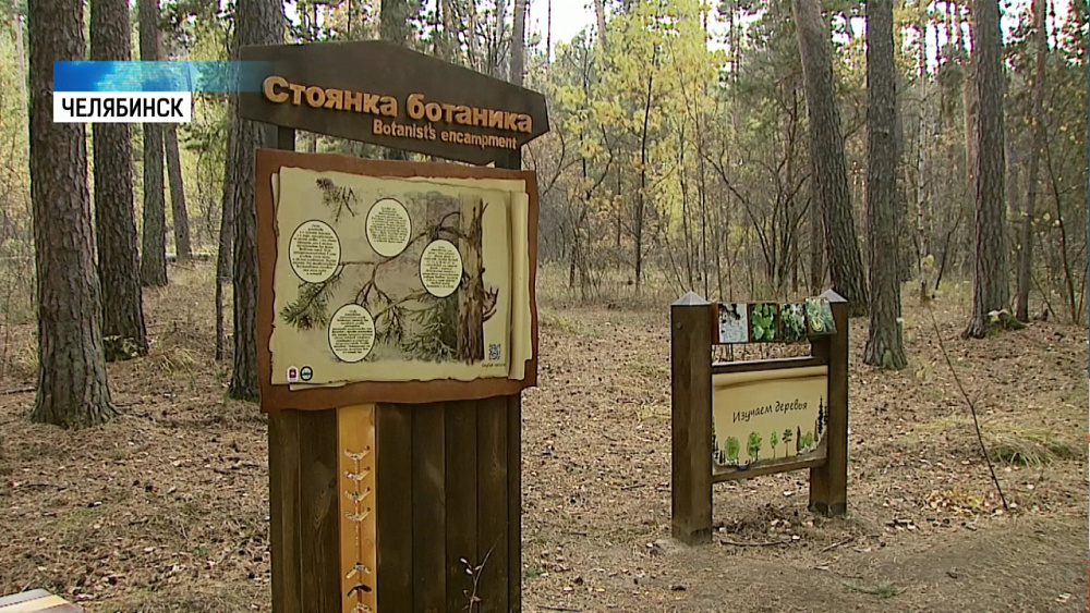 В городском бору открыли тропу исследователей