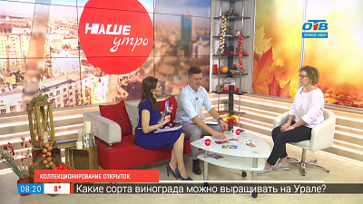 Коллекционирование открыток