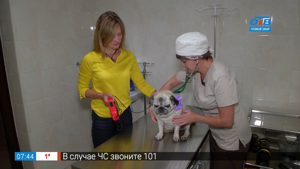 Пушистое утро — опухоль молочных желез