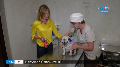 Пушистое утро — опухоль молочных желез