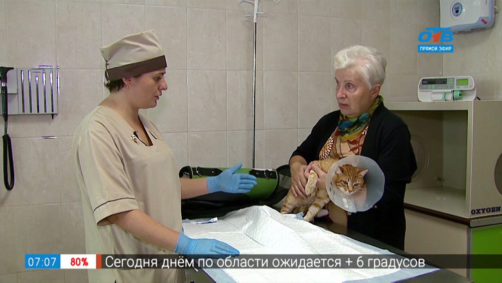 Пушистое утро — мочекаменная болезнь