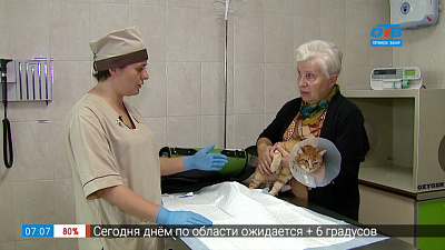 Пушистое утро — мочекаменная болезнь