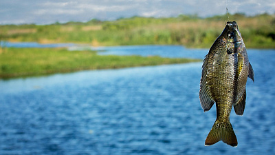 Рыболовные снасти — виды и отличия