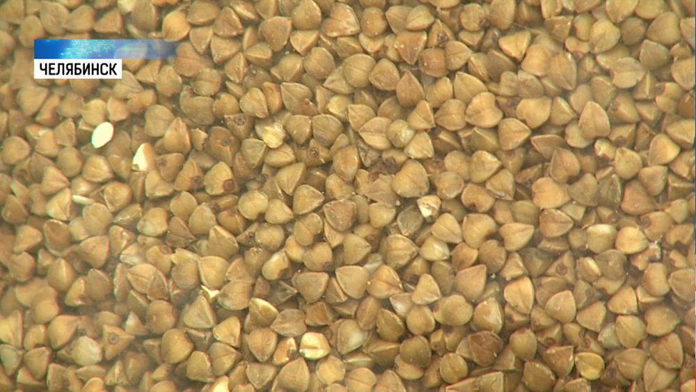 На Южном Урале подорожала гречка