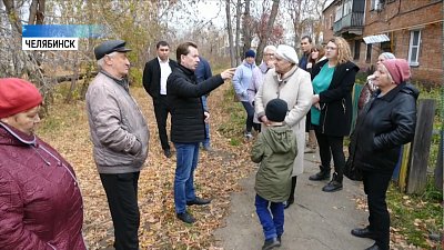 Жителей Металлургического района атаковали насекомые