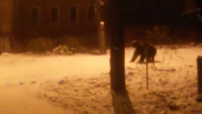 Медведь гуляет по Аше