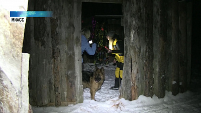 Под Миассом прошли ночные испытания для собак