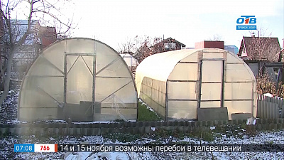 Садовые истории — подзимние посевы