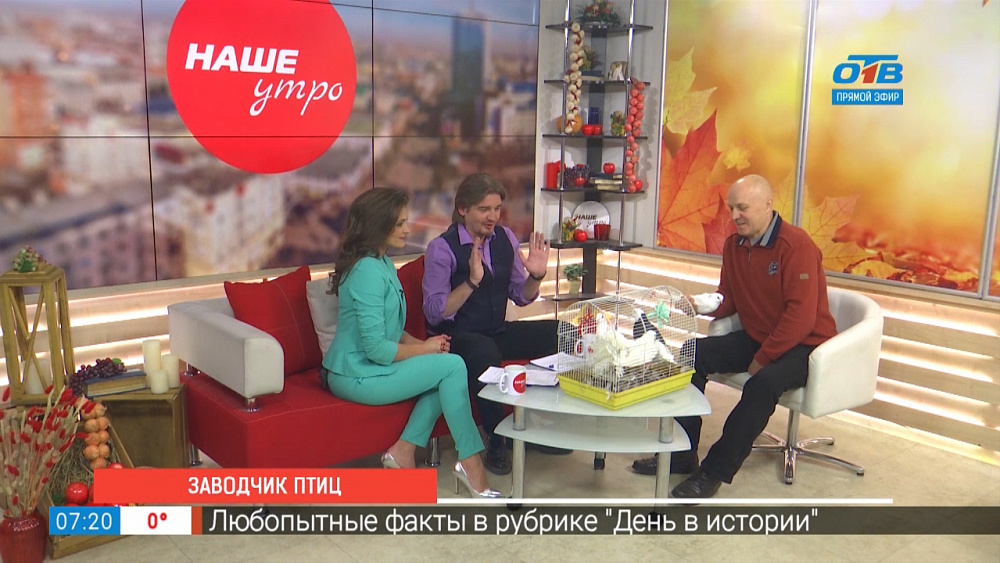 А голуби-то ничего!