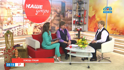 Помощь птицам