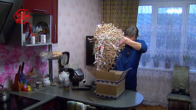 Кредит недоверия от 18.11.2019