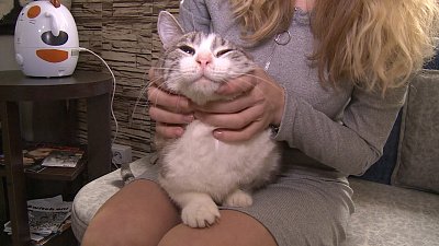 Котокафе отмечает день рождения