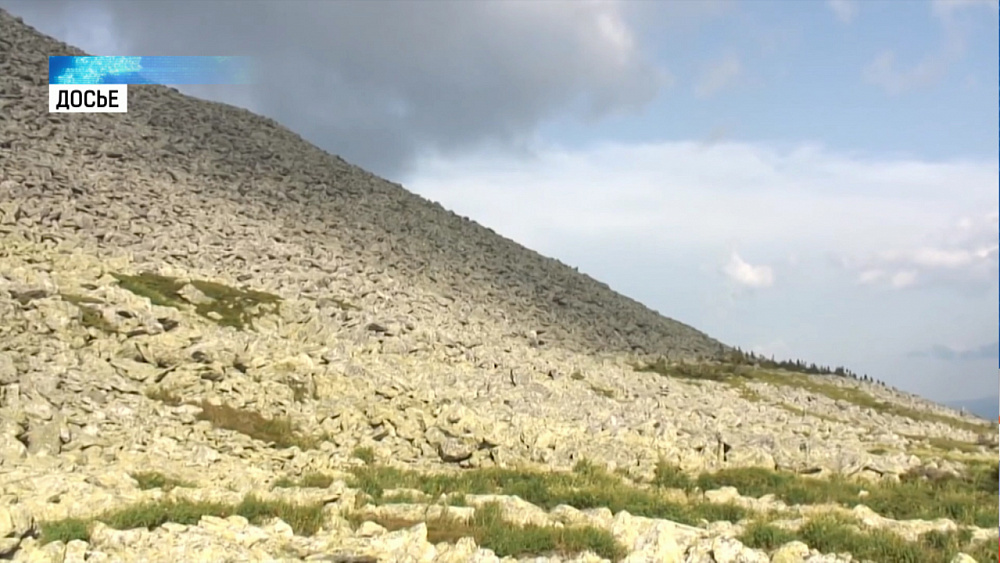 В Минэкологии обсудили развитие нацпарка «Зигальга»