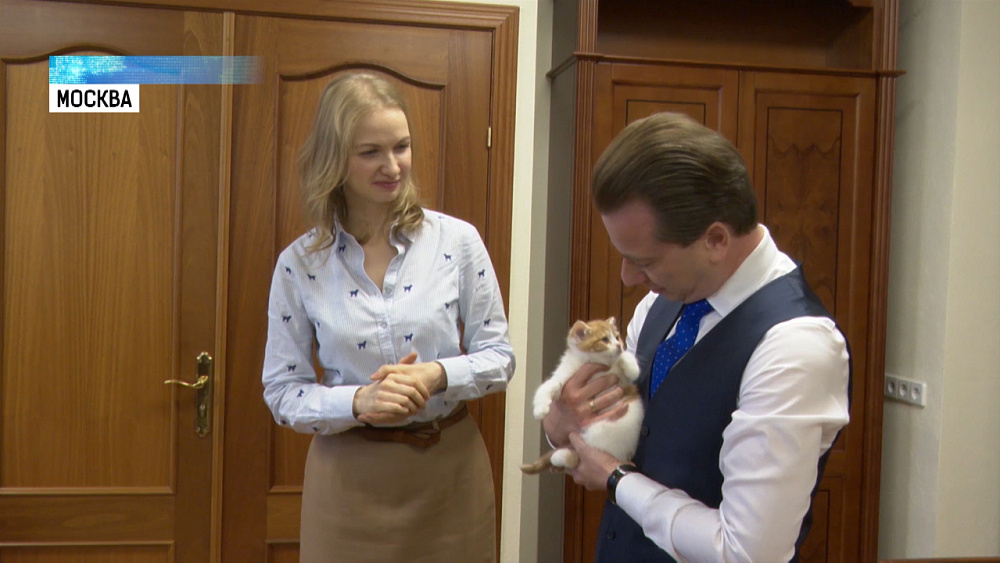 Челябинскому котенку разрешили «пройти» в Госдуму