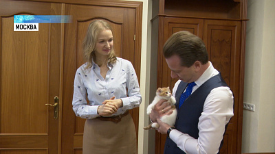 Челябинскому котенку разрешили «пройти» в Госдуму