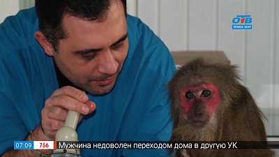 Семейный альбом — Карен Даллакян