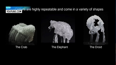 Учёные открыли «кристаллических зверьков»