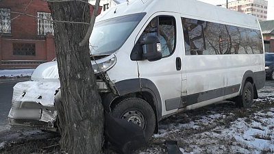 Дерево помешало маршрутчику завершить обгон