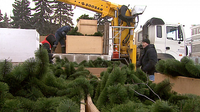 На площади Революции начали строить ледовый городок