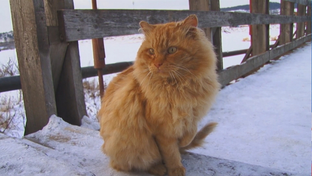 «Хатикот» встречает жителей Усть-Катава на мосту