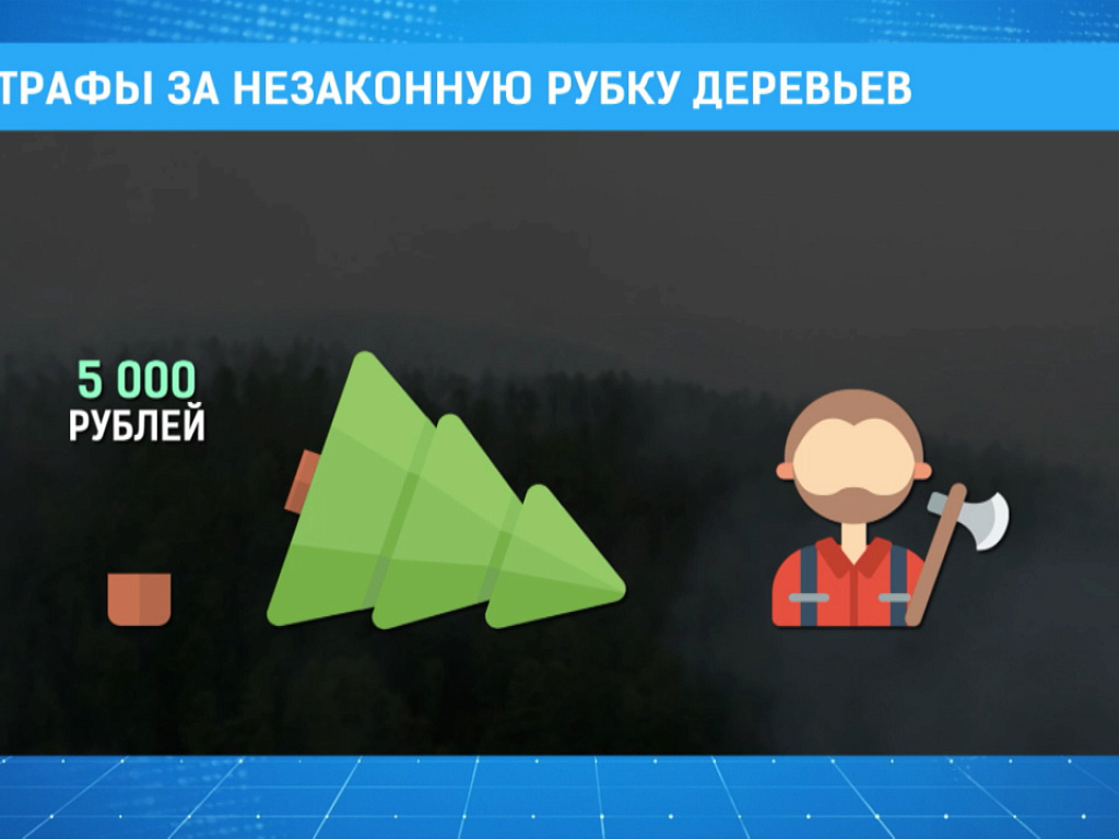 Штраф за рубку деревьев. Штраф за рубку деревьев
