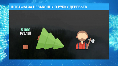 Штрафы за незаконную рубку деревьев