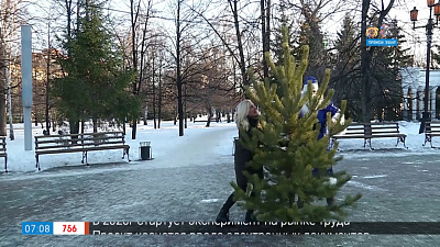 Елка на радио 100