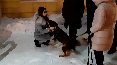 Трогательная встреча: собака Боня через 7 месяцев вернулась к хозяйке