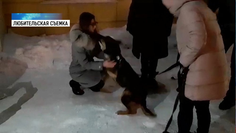 Жительница Сургута нашла свою собаку в Челябинске