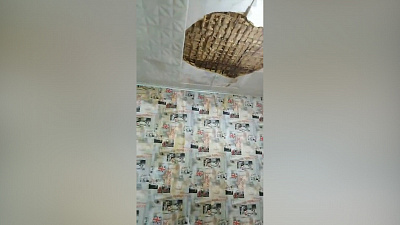 Потолок рухнул на детские кроватки