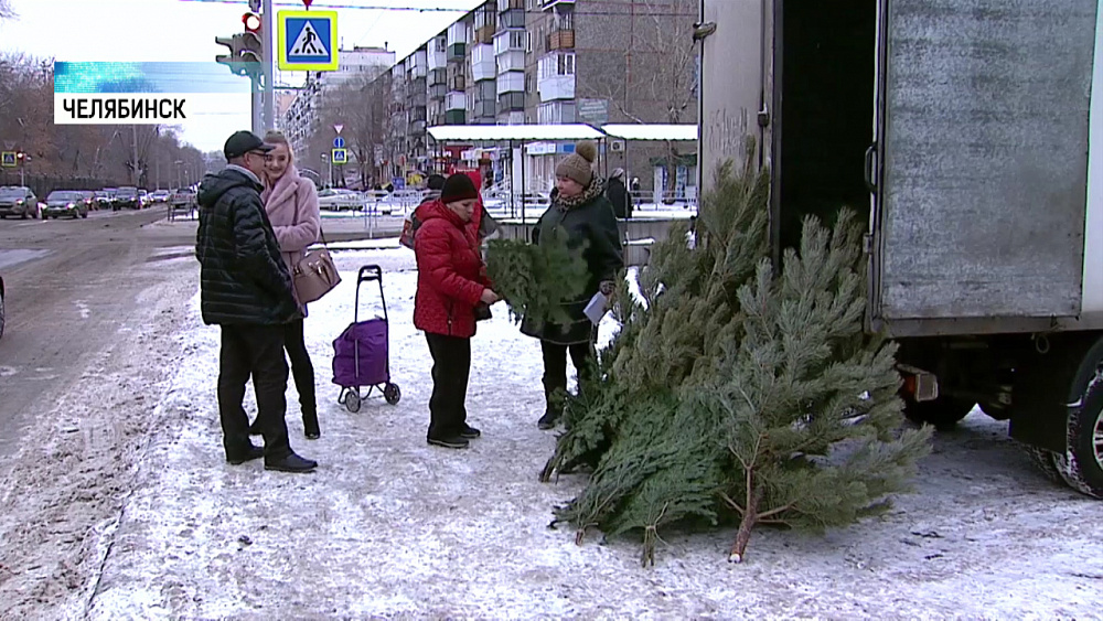Челябинец не может продать елки