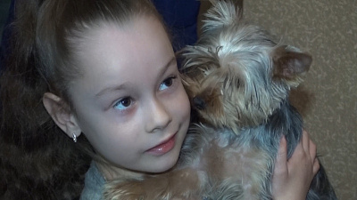 Йоркширский терьер — новогодний подарок шестилетней Кире