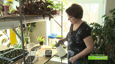 Зеленая передача 09.01.2020