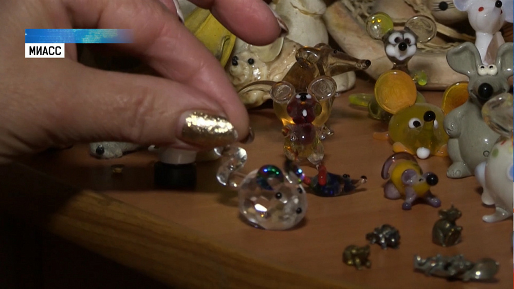 Жительница Миасса собрала коллекцию из 500 мышей