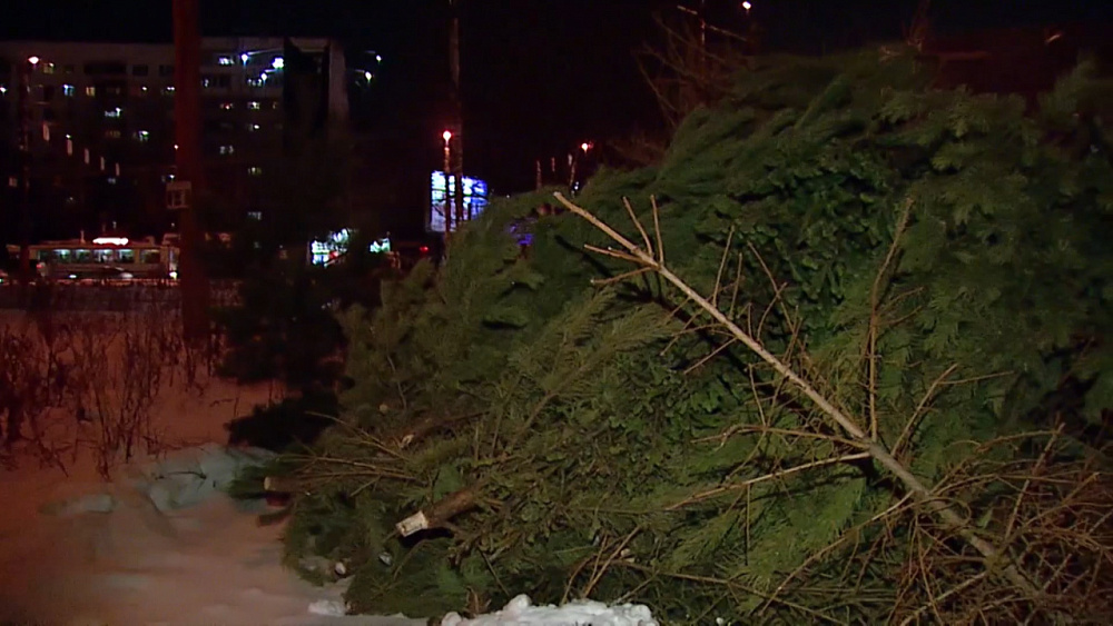 В Челябинске открылись пункты приема ёлок