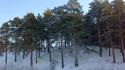 Каштакский бор расширят