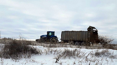 Минэкологии выяснило, кто вывозил помет к поселку «Журавли»