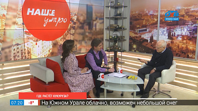 Где растет кукуруза?