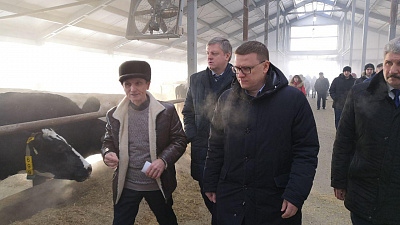 Южноуральских школьников будут поить еткульским молоком Южноуральских школьников будут поить еткульским молоком