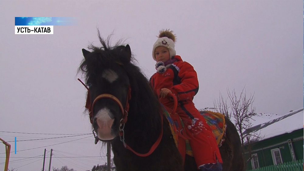 Житель Усть-Катава подарил внукам пони