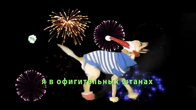 Поющая собака покоряет Челябинск