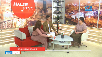 Готовим рассаду правильно